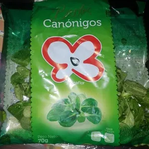 Canónigos