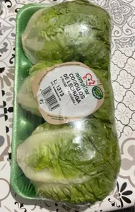Cogollos de lechuga