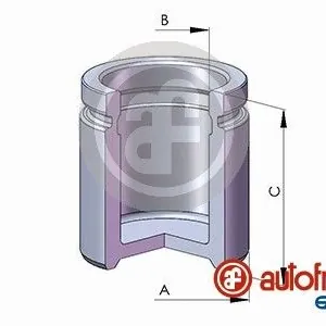 Bromskolv AUTOFREN SEINSA D025795