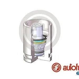 Bromskolv AUTOFREN SEINSA D025698K