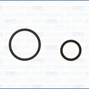 Packningssats, insprutningsmunstycke AJUSA 77001100