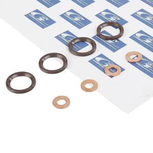 Packningssats, insprutningsmunstycke 3RG 81907