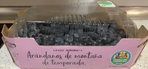 Arandanos de montaña