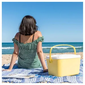 Bärbar Kylbox med Multifunktionslock, 15 L