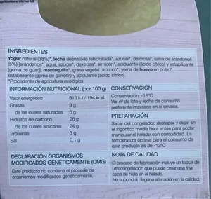 Helado de yogur y arándanos sabor silvestre ecológico