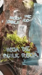 Hoja de roble roja