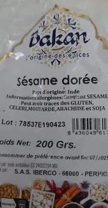 Sésame dorée