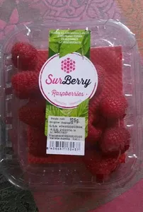Surberry