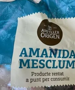 Amanida Mesclum