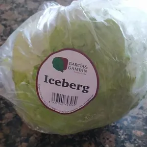 Lechuga iceberg