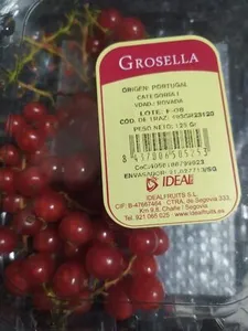 Grosella