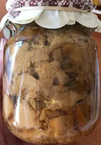 Hongos boletus edulis