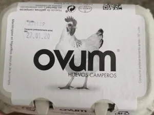 Huevos camperos