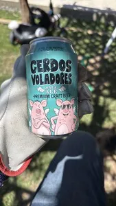 CERDOS VOLADORES