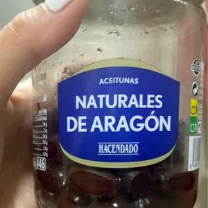 Aceitunas naturales de Aragón