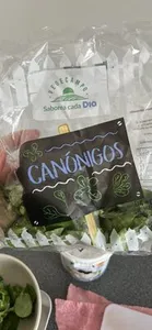 Canónigos