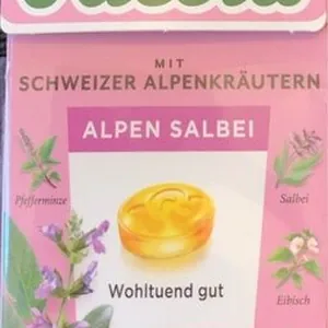 Alpen Salbei