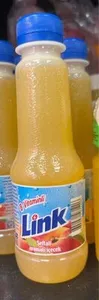 Link