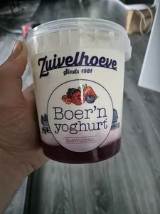 Yoghurt Met Bosvruchten