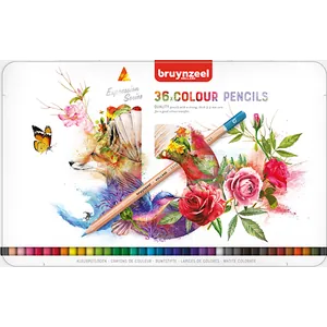 Färgpennor Expression 36-set Bruynzeel