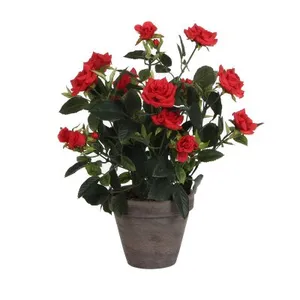 Dekorativ växt Mica Decorations Rosal Keramik PVC