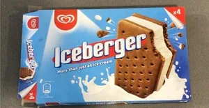Iceberger