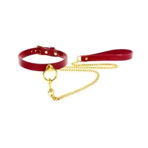 Taboom O-Ring Collar and Chain Leash