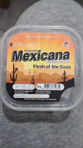 Mexicana