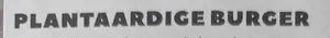 Plantaardige burger