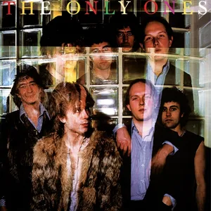 Only Ones: The Only Ones