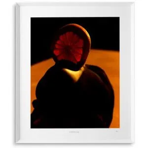 Eichholtz Philippe Vogelenzang - Vitamin Oral