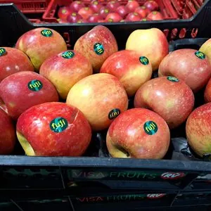 Manzana Fuji