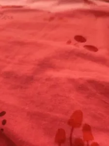 sheeba chicken premiim