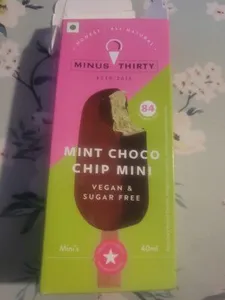 mint choco chip mini