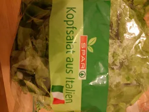 Kopfsalat aus Italien