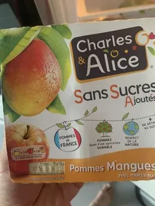 Compote pomme mangue