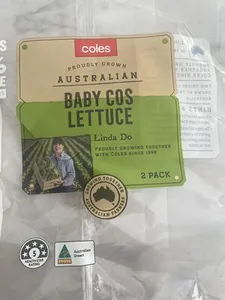 Baby cos lettuce