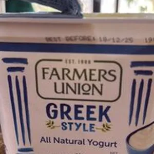 Greek Style All Natural Yogurt