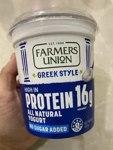 Greek yoghurt high protein