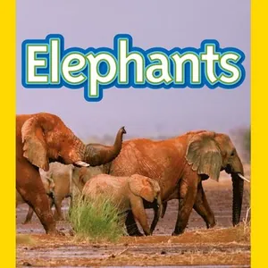 Elephants