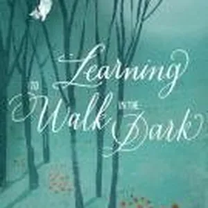 Learning to Walk in the Dark
