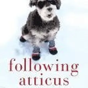 Following Atticus LP