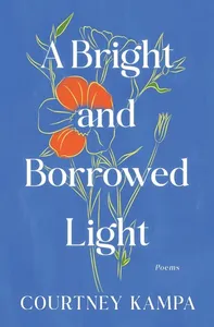 Bright and Borrowed Light