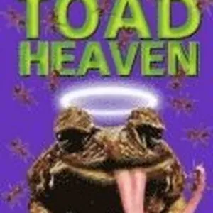 Toad Heaven