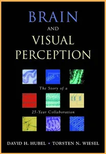 Brain and Visual Perception