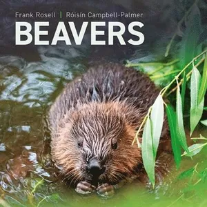 Beavers