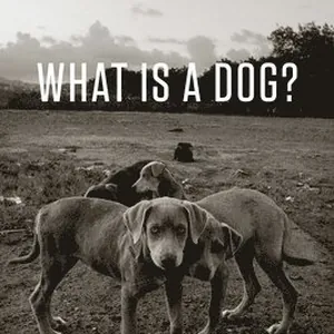What Is a Dog?