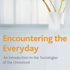 Encountering the Everyday: An Introduction to the Sociologies of the Unnoticed