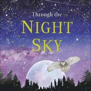 Through the Night Sky