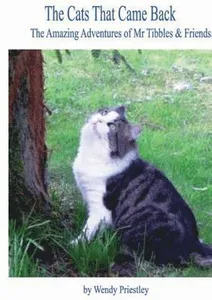 Cats That Came Back